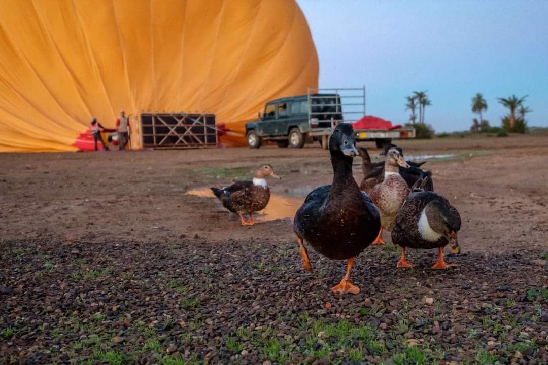 Hot air balloon/ hamam&spa
